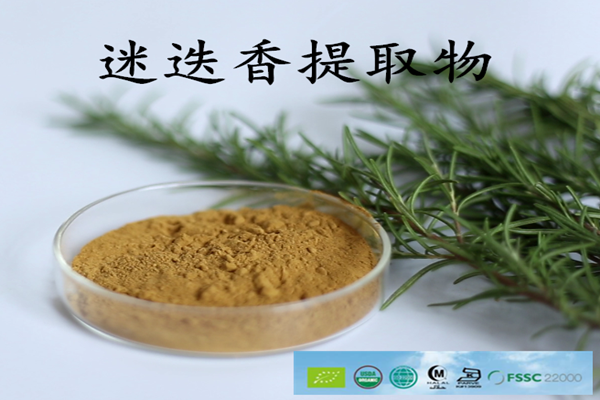 迷迭香提取物