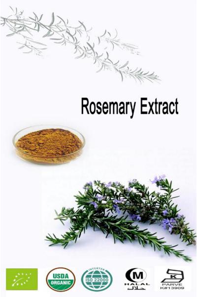湖南諾澤生物科技有限公司,湖南健康植物提取物,保健品的原料有哪些,哪家公司的植物提取質量更好