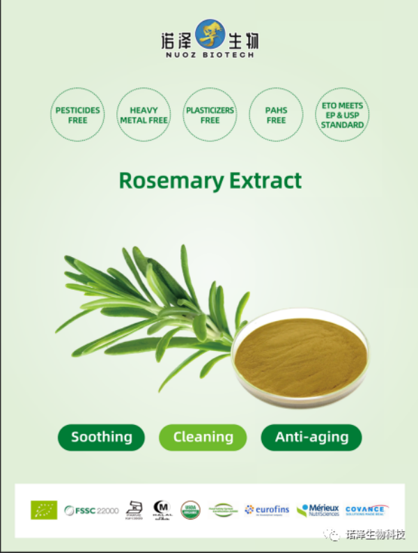 湖南諾澤生物科技有限公司,湖南健康植物提取物,保健品的原料有哪些,哪家公司的植物提取質量更好 湖南諾澤生物科技有限公司,湖南健康植物提取物,保健品的原料有哪些,哪家公司的植物提取質量更好